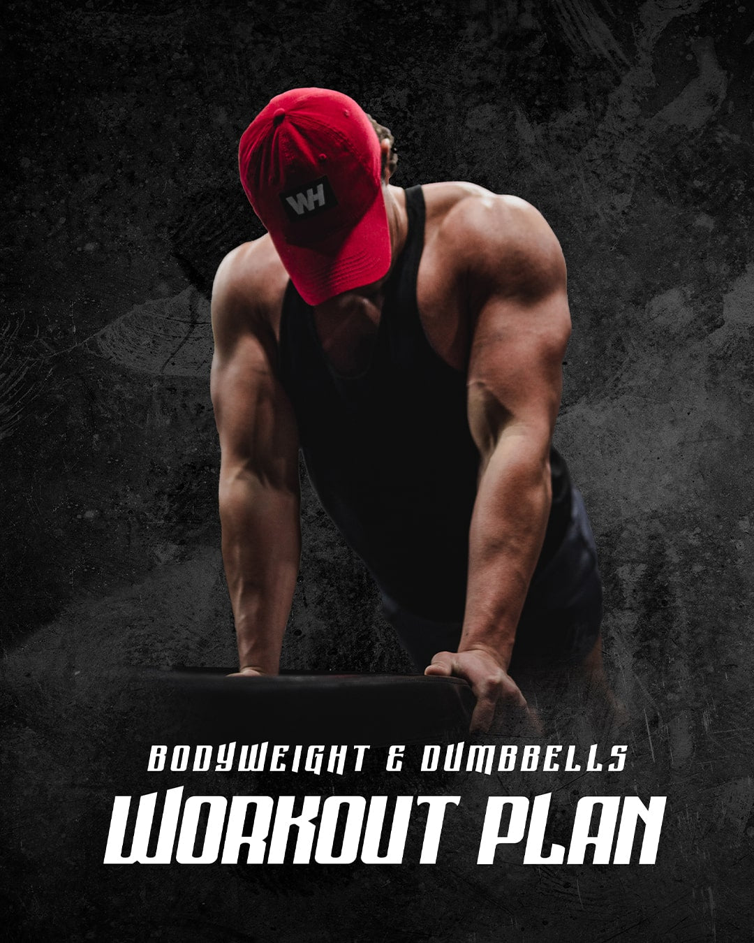 Dumbbell and bodyweight workout discount program