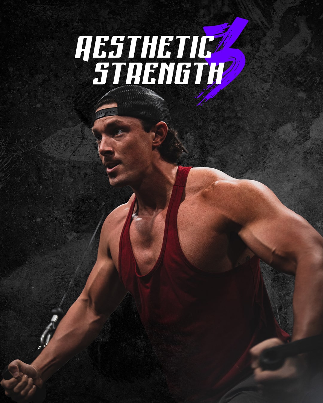 Aesthetic Strength 3