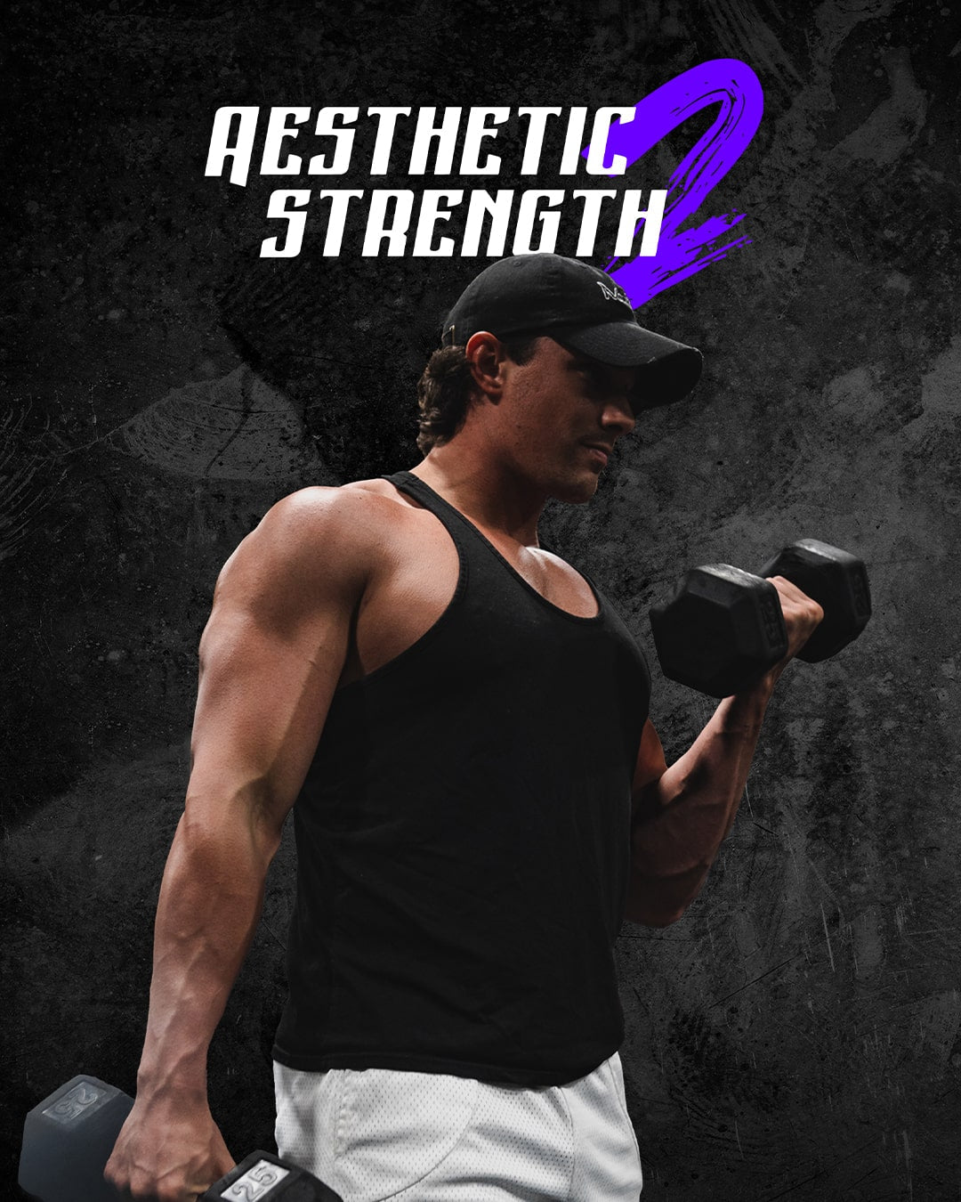 Aesthetic Strength 2 - WorkHarder Gym