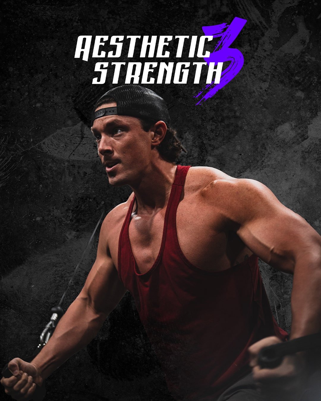 Aesthetic Strength 3 - WorkHarder Gym