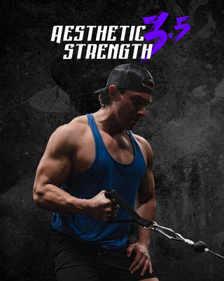 Aesthetic Strength 3.5 - WorkHarder Gym